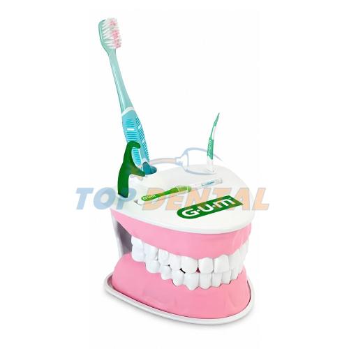GUM MACROMODELO DENTAL CON ACCESORIOS